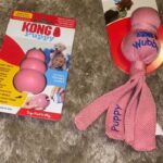 puppy toys