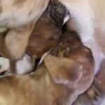 feeding time