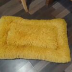 dog bed