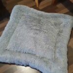 dog beds