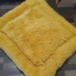 dog beds