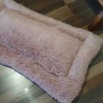 dog beds
