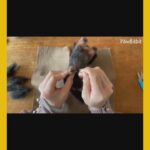 Needle Felted Dog Sculpture 12cm