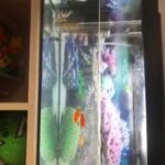 Aquarium