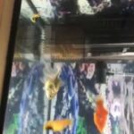Aquarium