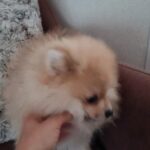 Gorgeous boy left!