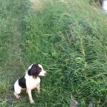 Stolen/Missing
