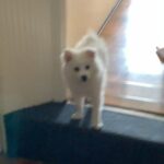 introducing snow❄️