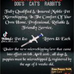 mobile microchipping in Manchester
