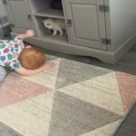 1 male ragdoll left