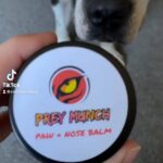 Natural Paw and Nose Balm