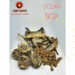 Ocean Box