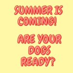 Dog suncream