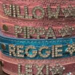 personalised pet collar (any name)