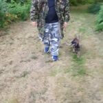 Very Intelligent Pedigree German Shepherd puppy