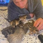 1 kitten left to reserve Brixham