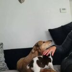 SPROCKER BITCH