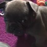 How beautiful please?? 3 girls available