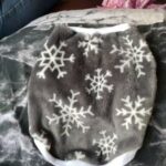 snowflake jumper