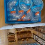 Dwarf hamster cages + accessories