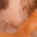 I want to give my rabbit away