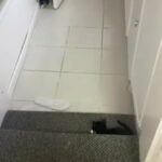 2kittens