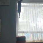 planning his escape to pretended nothing happened!