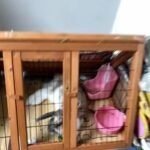 mini loop,triangle hutch,food and hay for sale