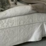 GCCF pedigree registered British Shorthair kittens
