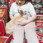 female rabbit for sale