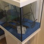 cheap fish tank for sale