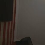New Live