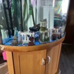 180 fish tank