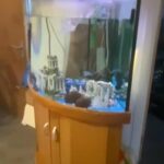 fish tank 180
