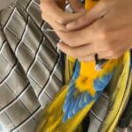 Two Blue & Gold Macaws Boy & Girl *Non Related*