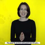 Pet Financing ?