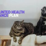 Discounted Health Insurance