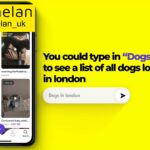 How to search for a pet on Camelan