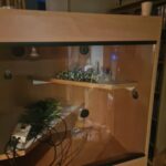 large vivarium