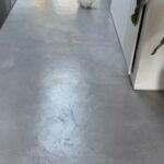 White Pomeranian Girls in London