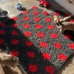 Gorgeous Long Haired Chihuahuas in London