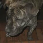 KILO DE NERO in Staffordshire