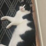 Black And White Male in London