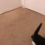 Female Black And White in London