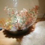 bio orb fish tank with fish and equipment in Bristol