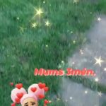 2-MINI POMERANIANS BOYS in Swansea