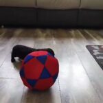 KC reg pra clear boy mini daxis in London