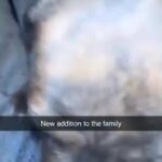 Puppy For Sale in London