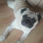 Best girl in the world Bella in London