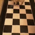 Adult Kc Chihuahua Girl in Bassetlaw